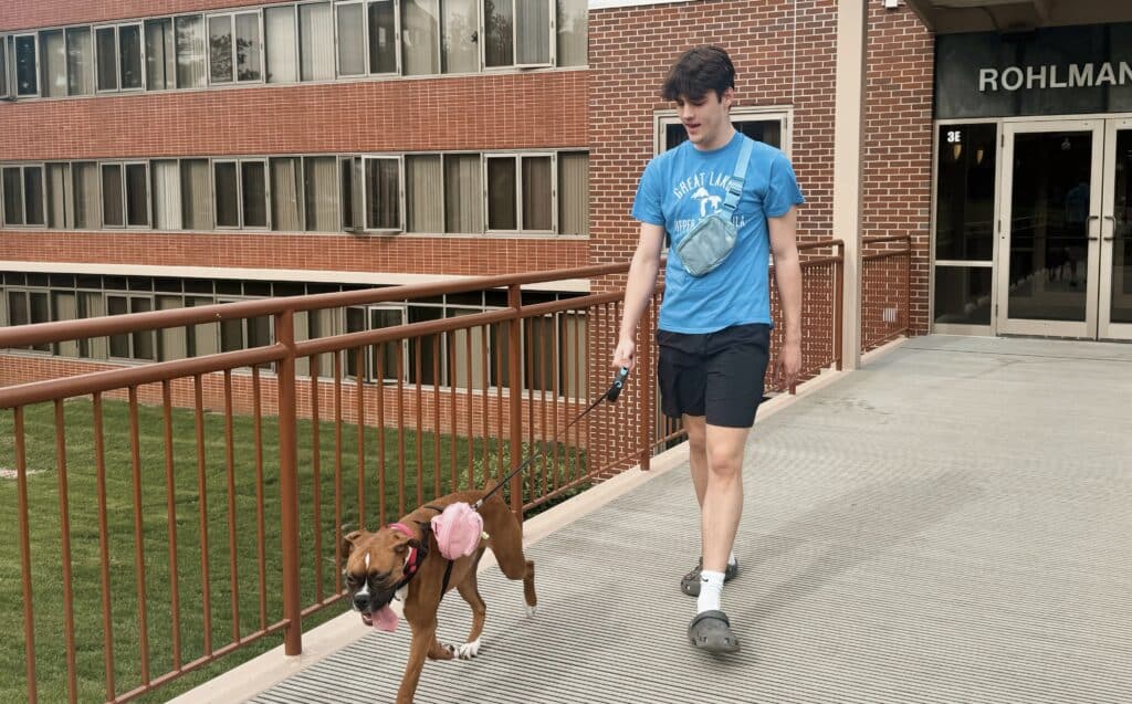A student walking his dog on a bridge.
